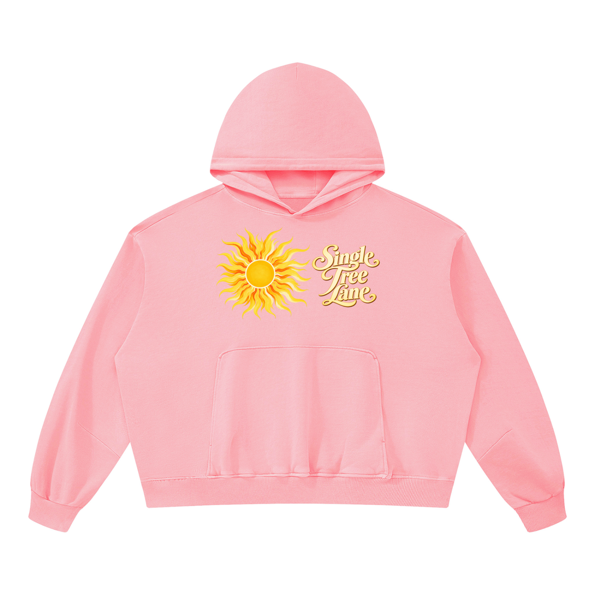 French Riviera Unisex Boxy Vintage Washed Hoodie