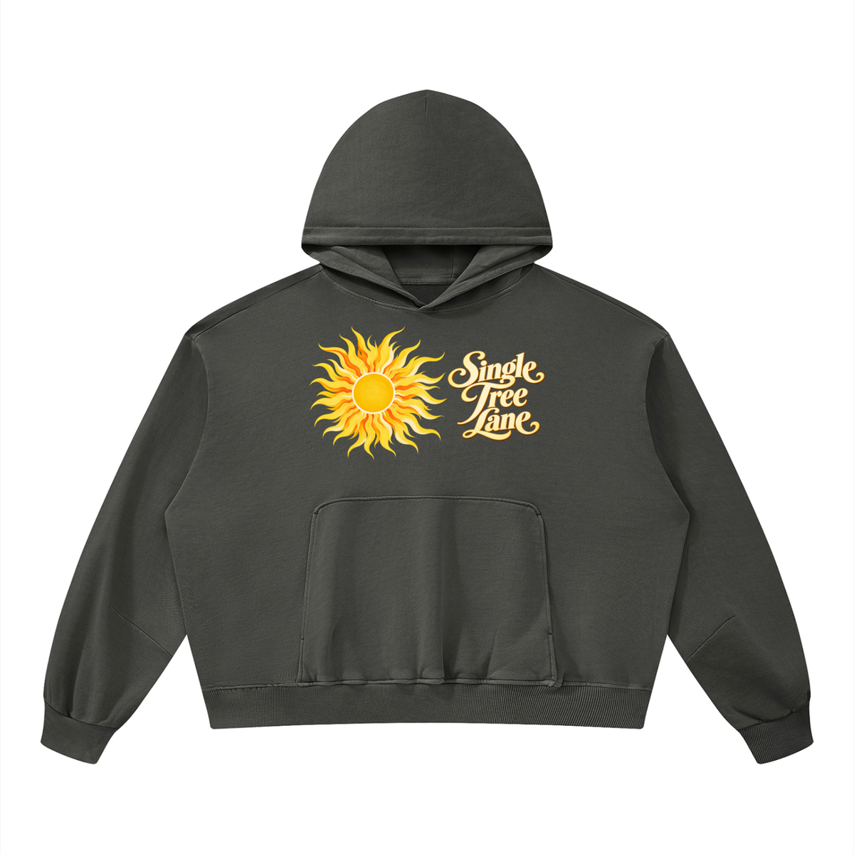 French Riviera Unisex Boxy Vintage Washed Hoodie