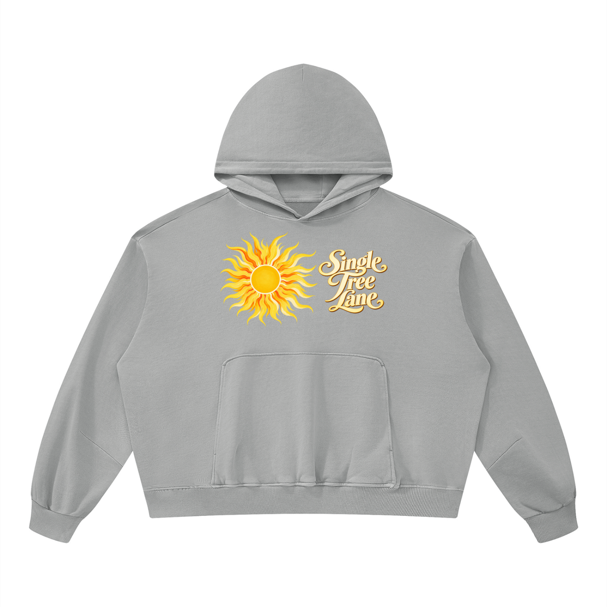 French Riviera Unisex Boxy Vintage Washed Hoodie