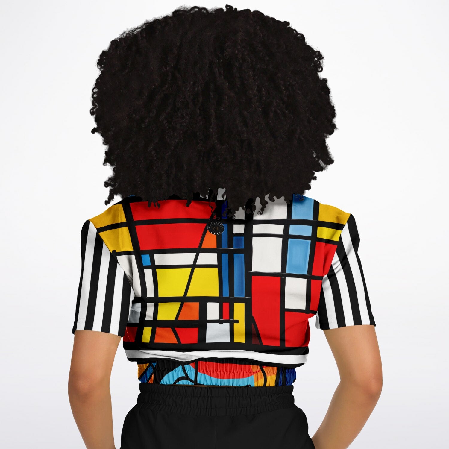 Hopscotch in Primary Geometric Eco-Poly Short Sleeve Cropped Pullover